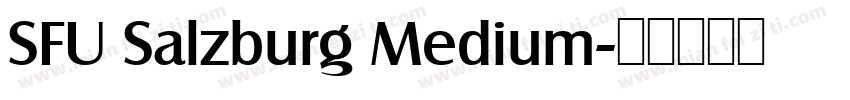SFU Salzburg Medium字体转换